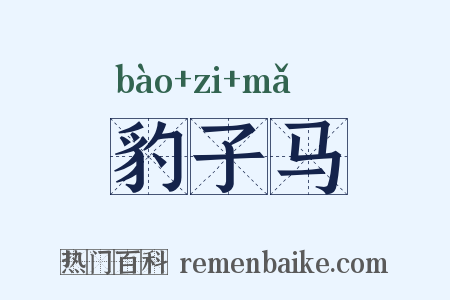豹子马是什么意思的图片